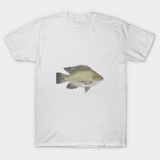 Mango Tilapia T-Shirt